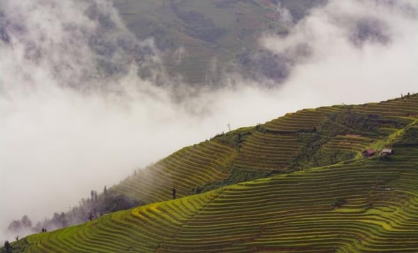 van-ng-c-tang-_vqavvvnmcw-unsplash